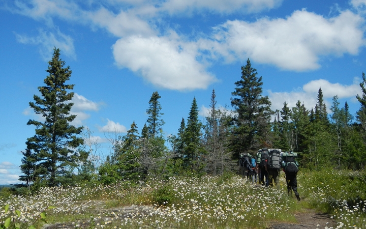 a group of students backpack through a clearing with flowers